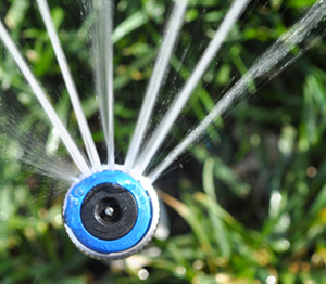 this hunter MP rotator is a high efficiency sprinkler head